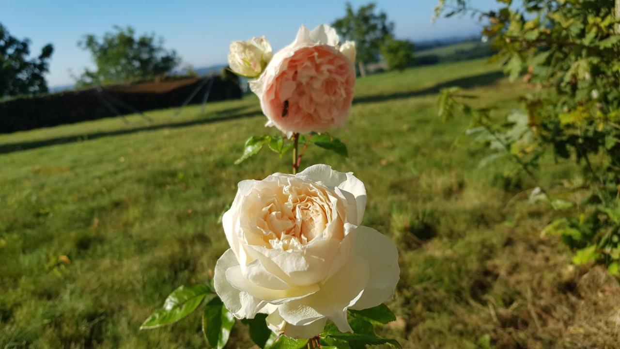 Belle Visnonia Meuble De Caractere Sud Morbihan Béganne 외부 사진